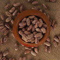 Organic Speckled Kidney Beans (Chitra Rajma)